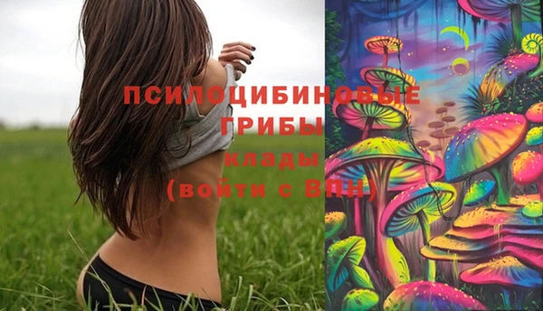 мяу мяу мука Беломорск